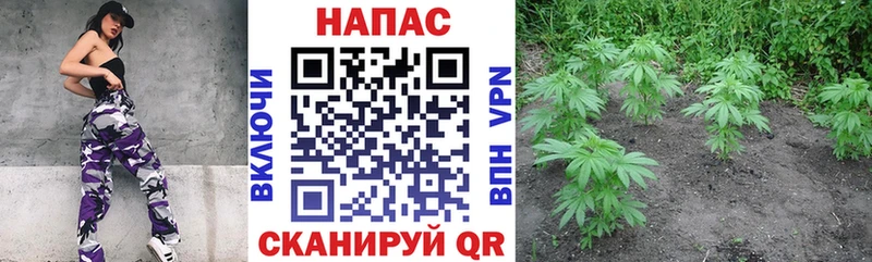 Меф Курильск