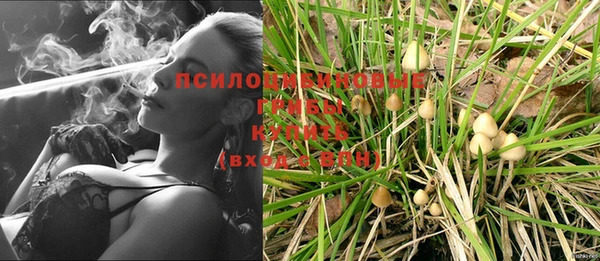 2c-b Белоозёрский