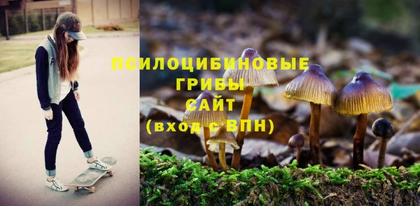 СК Белокуриха