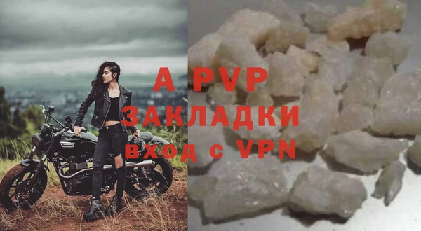 СК Белокуриха