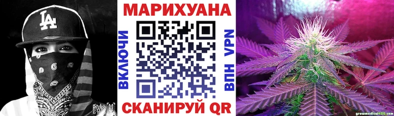 Шишки марихуана планчик  мориарти как зайти  Курильск 